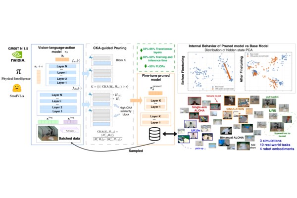 Finetuning Vision-Language-Action Models Requires Fewer Layers Than You Think