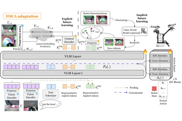 FOCA: Future-Oriented Conditioning for Data-Efficient Vision-Language-Action Adaptation